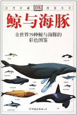 鲸与海豚.jpg